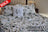 drap 4 pieces